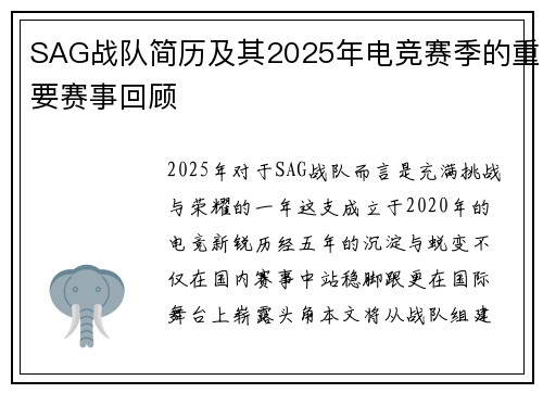 SAG战队简历及其2025年电竞赛季的重要赛事回顾